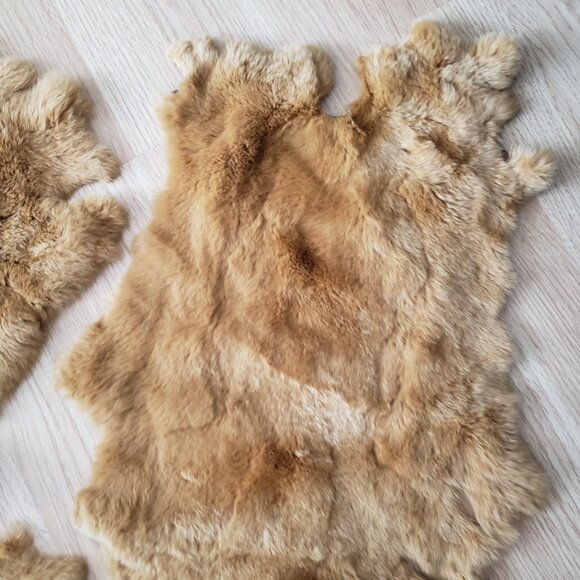 3 pieces rabbit pelt for diy or display - Picture 3 of 4